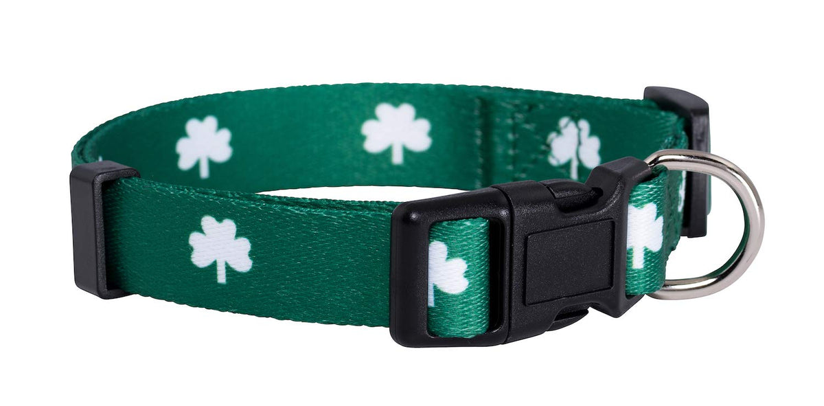Native Pup Halloween Dog Collar (Large, Bats)