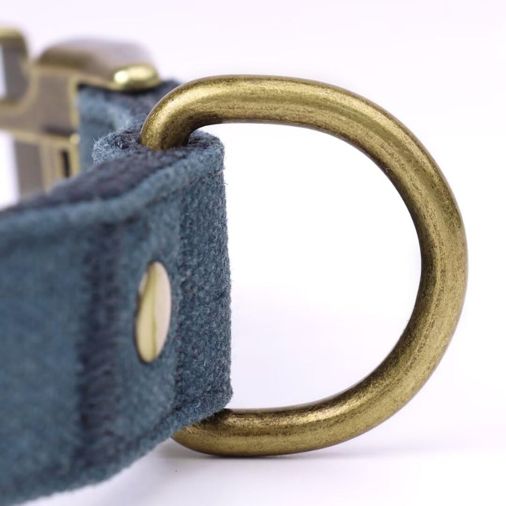 PET ARTIST Dog Collars for Medium Dogs, Soft Padded Premium Nylon Dog Collar with Quick Release Metal Buckle, Durable & Adjustable Pet Collars for Boy Gifts, Blue, M (Fit 13-20")