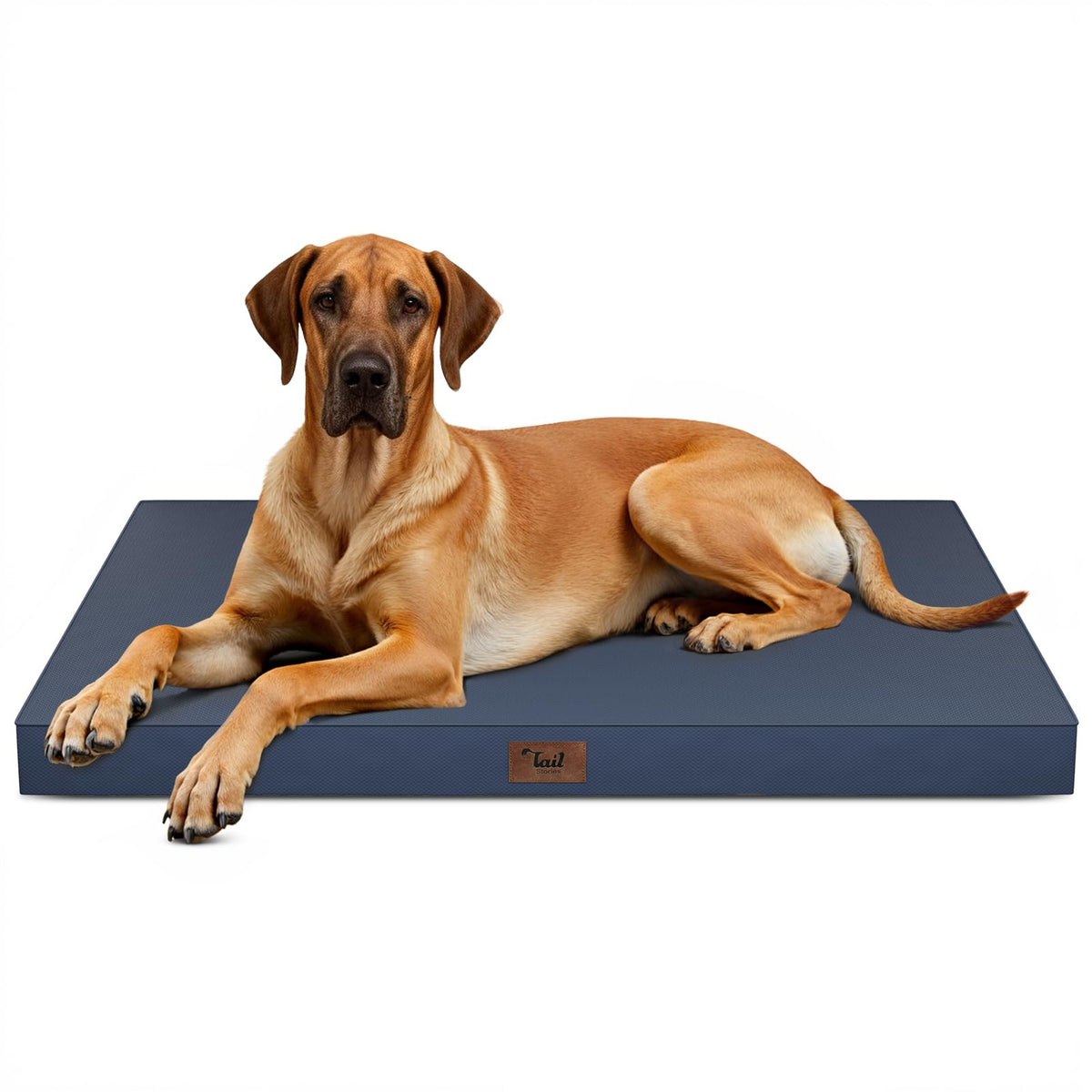 Tail Stories Jumbo Waterproof Orthopedic Dog Bed for Extra Large Dogs