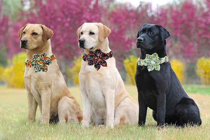 Lionheart Glory Dog Collar, Dog Collar with Flower, Cute Lemon Floral Pattern Pet Collar Adjustable Dog Collar for X-Small Dogs