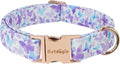 Elegant Butterfly Dog Collar, Gradient Purple Blue Dog Collars for Extra Small Dogs, Adjustable Dog Collar for Extra Small Dogs, Handmade Cotton Puppy Collar for Daily Walks-XS