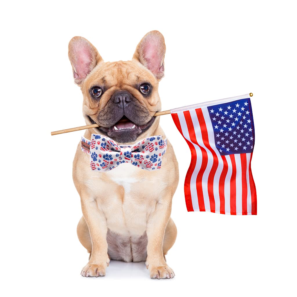 Lionheart Glory American Flag Dog Collar - 4th of July Collar with Adjustable Bow for Large Dogs