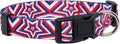 Native Pup American Flag Dog Collar- Red White and Blue- Patriotic Collars for 4th of July, USA- Adjustable Small, Medium, Large Breed Dogs (Medium, Big Stars)