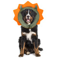 IEUUMLER Inflatable Recovery Dog Collar, Protective Donut Cone, Adjustable Soft Collar for Dog and Cat After Surgery Prevent from Biting & Scratching EU002 - Green Demon M