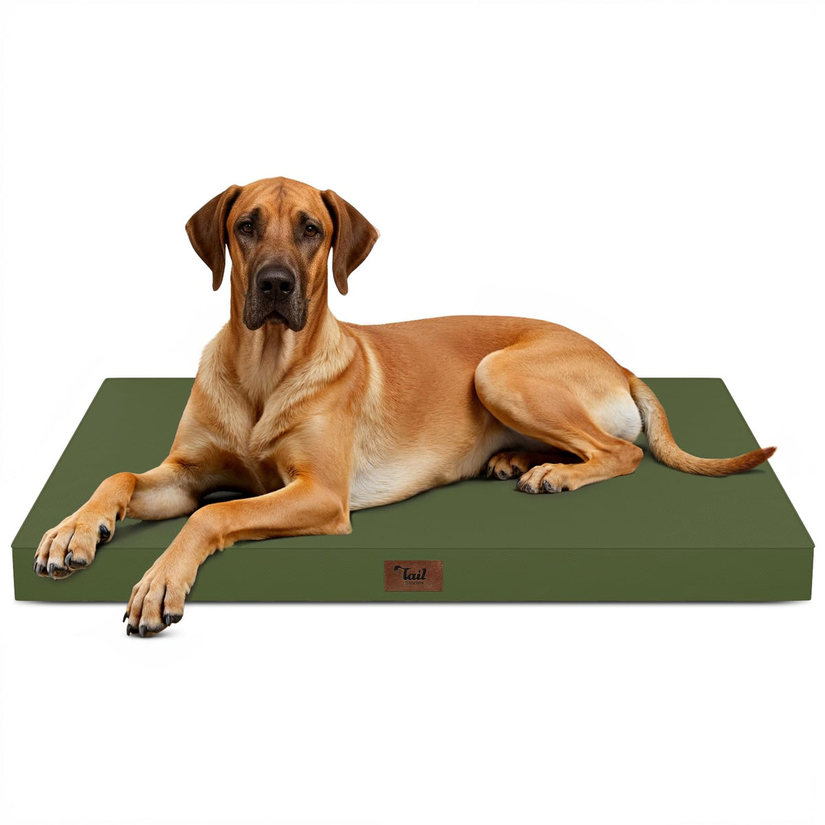 Tail Stories Jumbo Waterproof Orthopedic Dog Bed for Extra Large Dogs