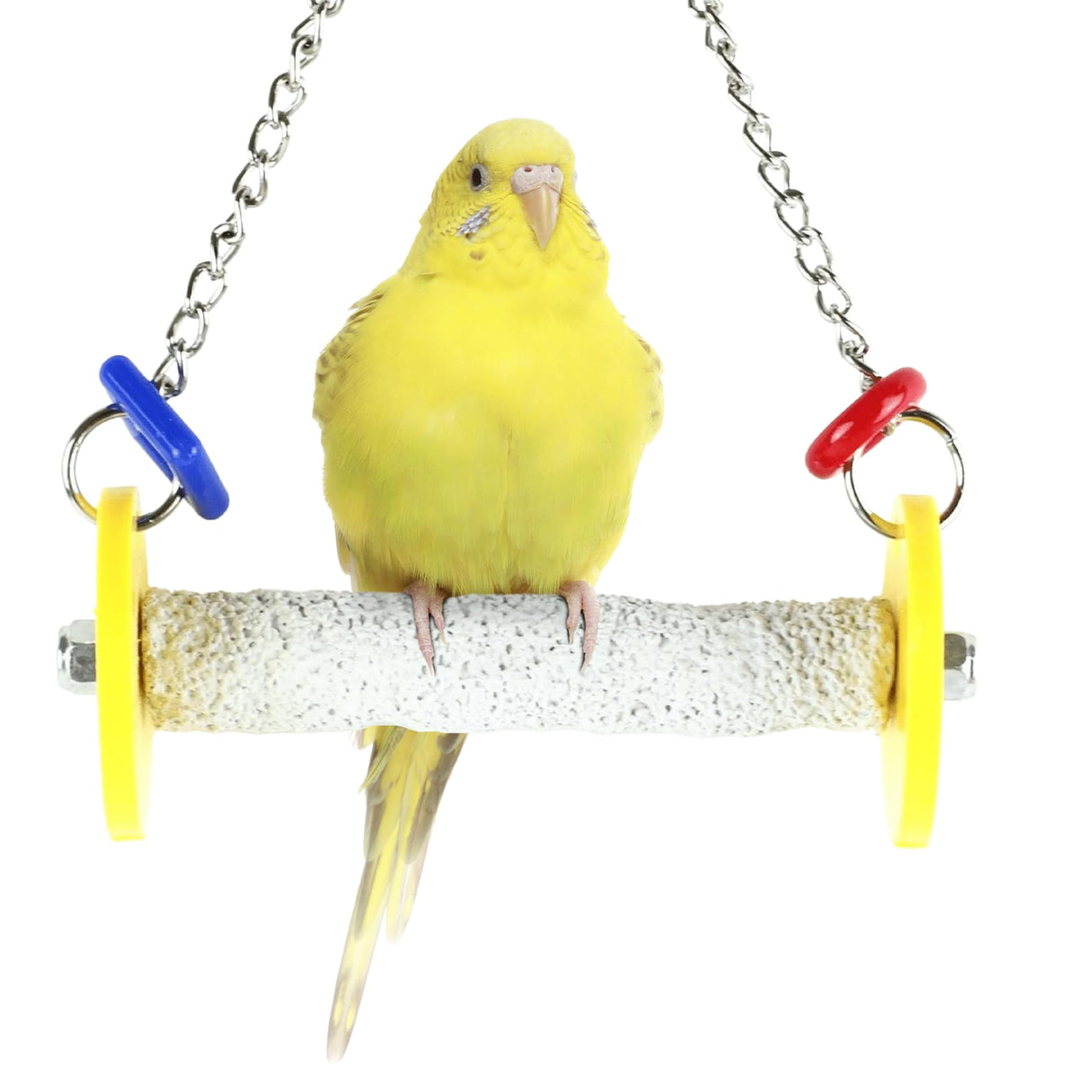 Sweet Feet and Beak Roll Bird Swing, African Grey, Medium, Blue
