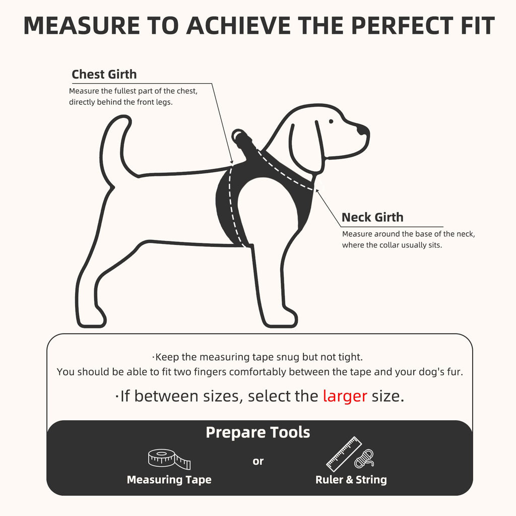 PUPTECK Dog Harness, Collar and Leash Set No Pull for Small Medium Sized
