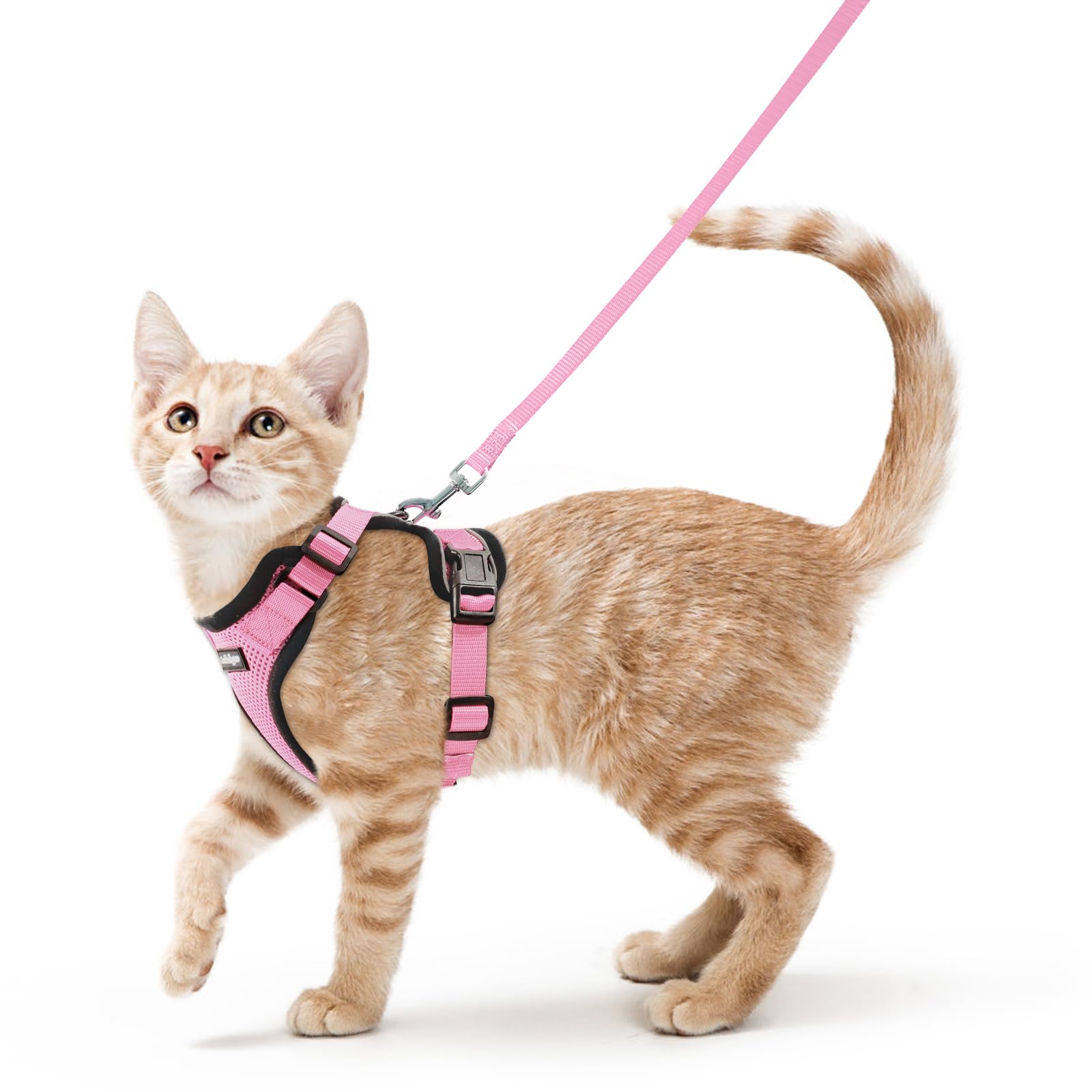 rabbitgoo Cat Harness and Leash Set, Escape Proof Vest, Emerald