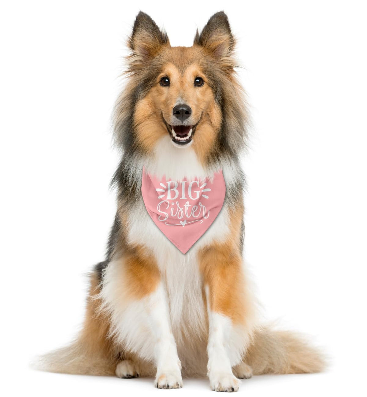 Big Sister Dog Bandana, White Pet Triangle Scarf Accessories, Pet Bandana for Large Dogs, Baby Announcement Dog Bandanas (L)