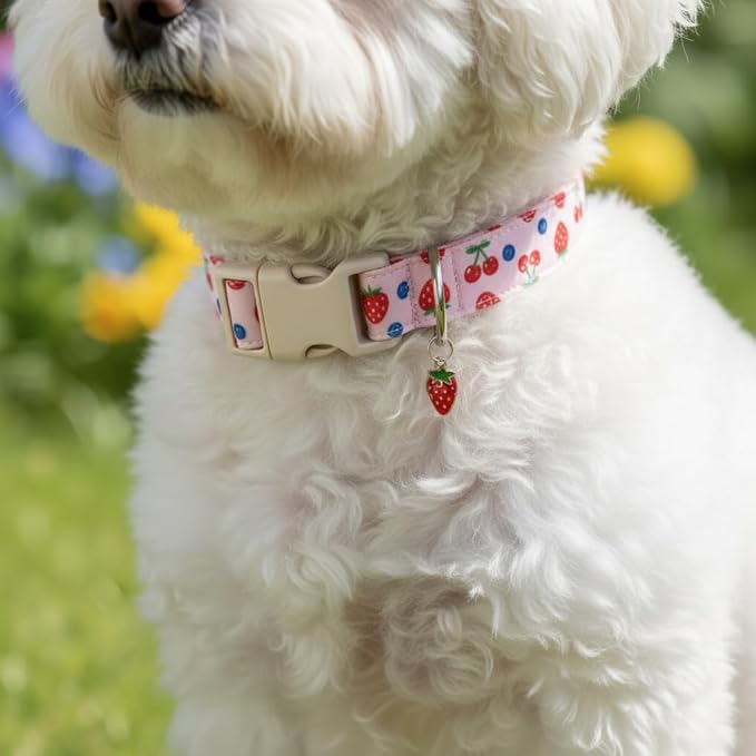 Britwicfr Small Dog Collar, Cute Dog Collar for Puppy, Extra Small & Small Dogs, Strawberry Blueberry Collar for Girl Female Dogs, XS