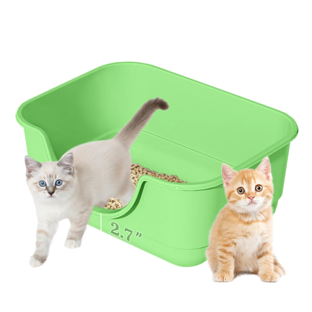 Tehoao 2 Pack Low Entry Small Litter Box for Kittens, Kitty Plastic Litter Boxes, Open Top, Anti-Splash High Sided Litter Tray Pan for Medium Pets, Puppy, Easy to Clean, 15.7"L*11.8"W*6.7"H (Black)