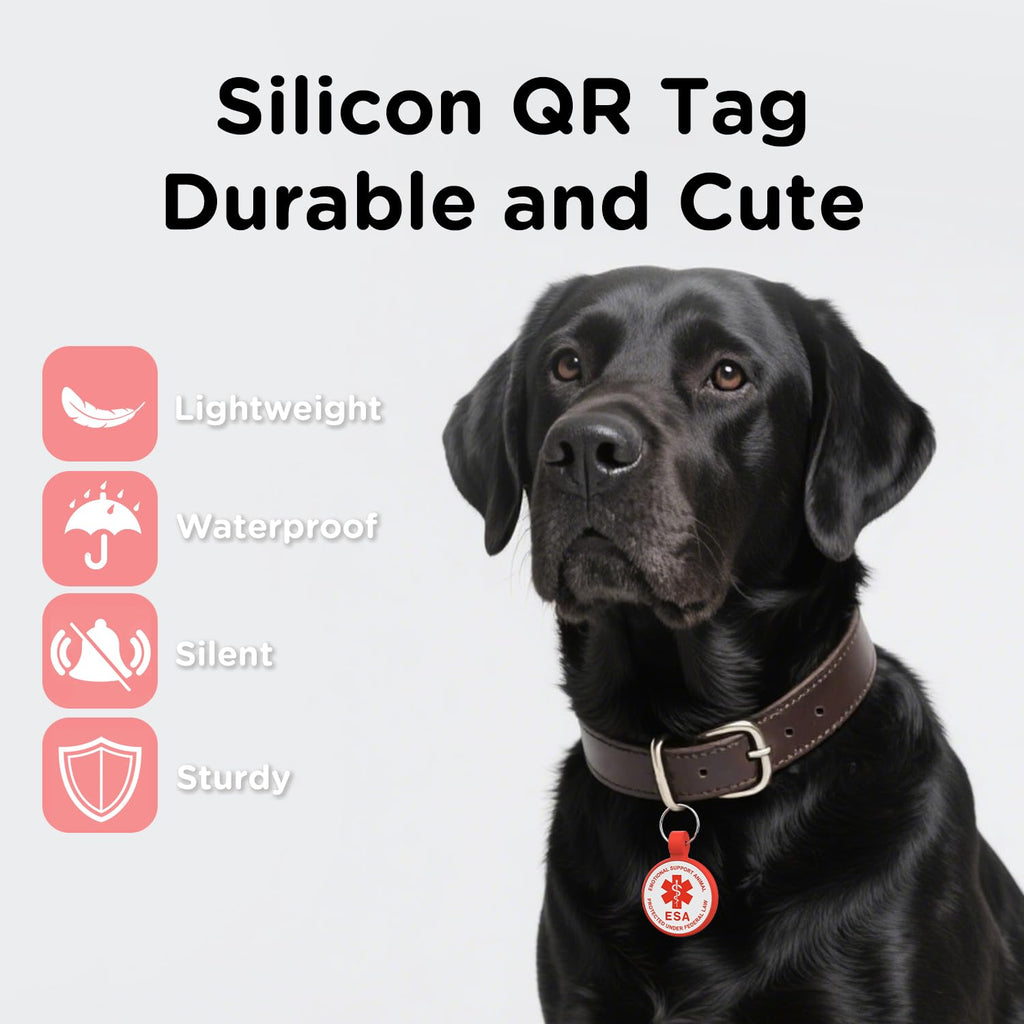 [Pack of 2] Dog Tags Personalized for Pets - Writeable Cat & Dog Name Tag