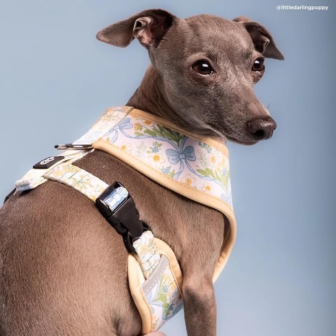 Lucy & Co. Sunshine and Daffodils Reversible Dog Harness, Adjustable Comfort Fit with Dual Leash Attachments, Medium