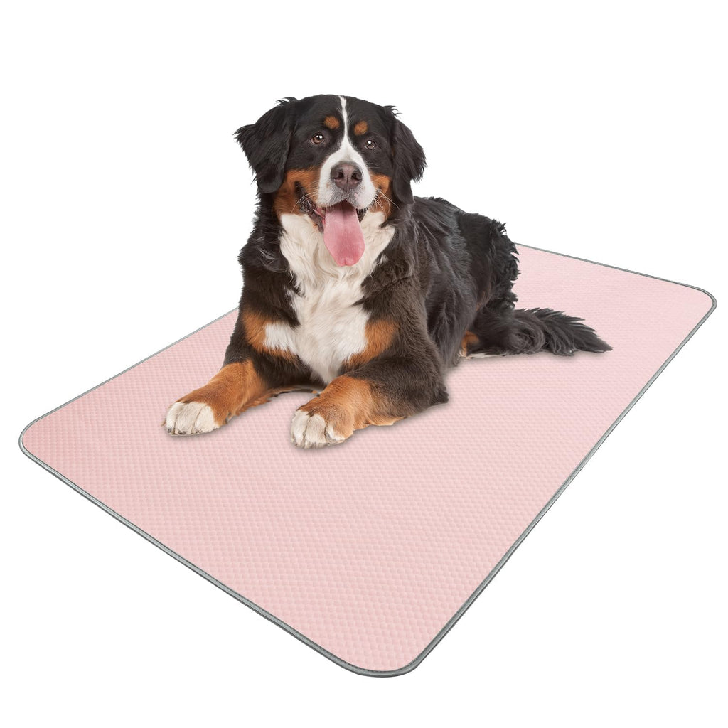 Summer Dog Cooling Mat Washable Ice Silk Self Cool Pad for Small Medium Large Dogs and Cats, Pet Sleeping Pad for Crate, Bed, Indoor & Outdoor Floor, Car Seats