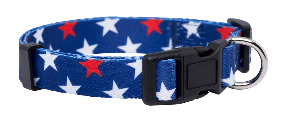 Native Pup Halloween Dog Collar (Small, Bats)