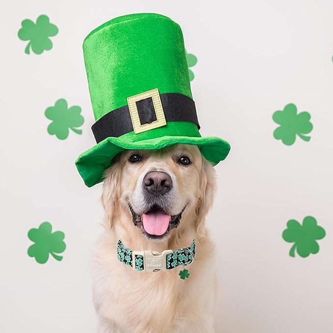 Babole Pet St Patricks Day Dog Collar for Large Dogs - Green Lucky Shamrock Boy Dog Collars, Irish Clover Pattern Black Male Puppy Collar with Quick Release Buckle L