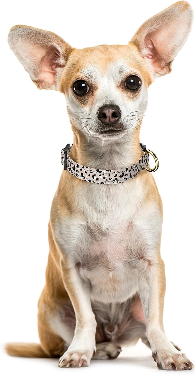 TMOODEL Reflective Dog Collar for Extra Small Dogs, Cute Leopard Style Adjustable Heavy-Duty Nylon Puppy Collar for Boy and Girl Female, Soft Pet Accessories with Quick Release Buckle, Beige