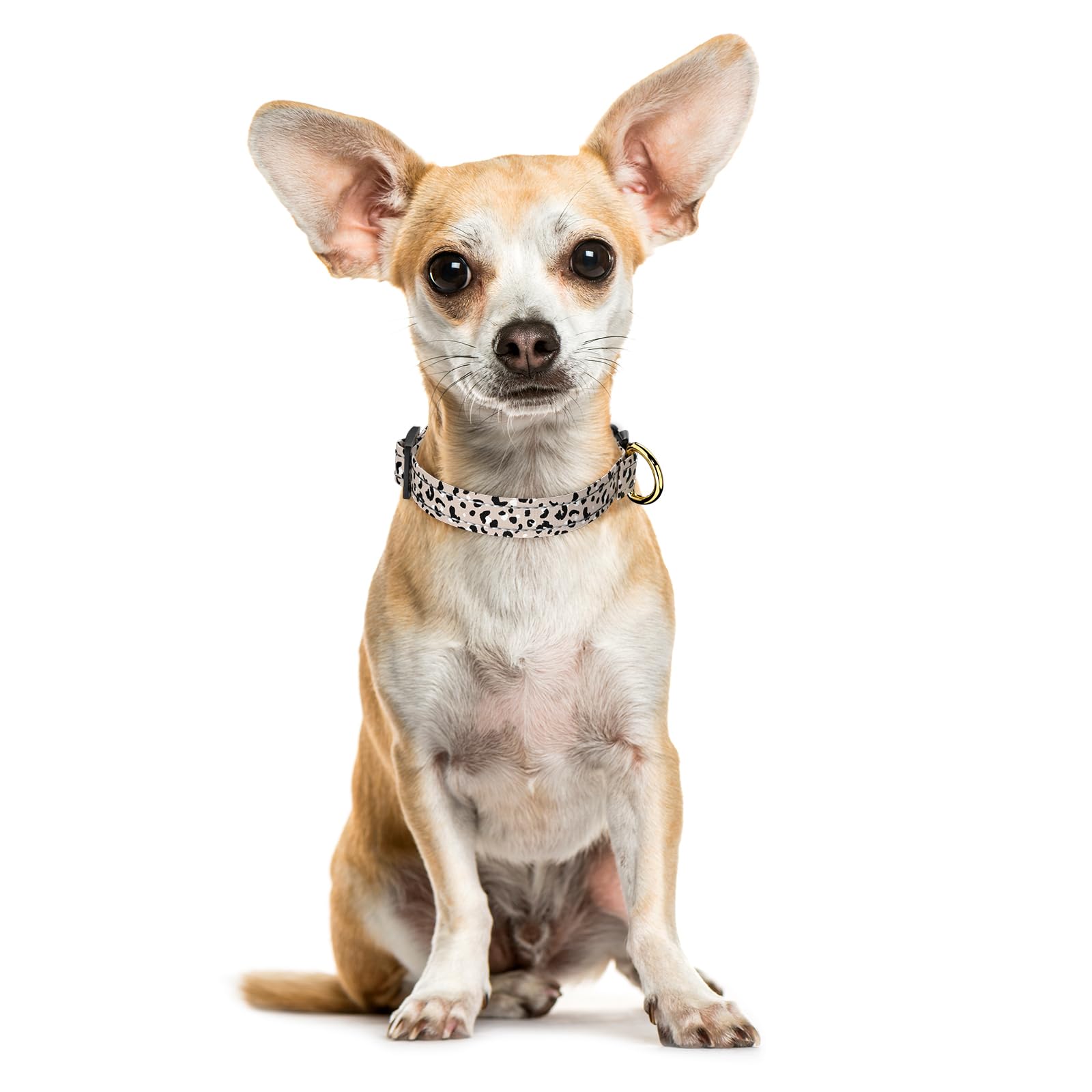 TMOODEL Reflective Dog Collar for Extra Small Dogs, Cute Leopard Style Adjustable Heavy-Duty Nylon Puppy Collar for Boy and Girl Female, Soft Pet Accessories with Quick Release Buckle, Beige
