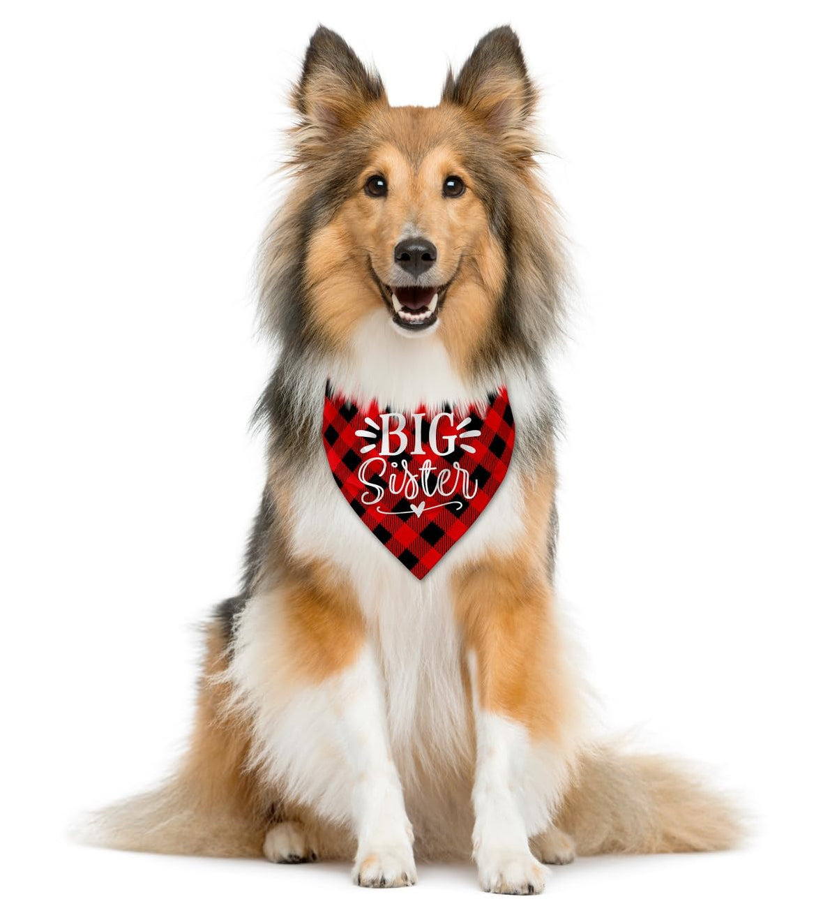 Big Sister Dog Bandana, White Pet Triangle Scarf Accessories, Pet Bandana for Large Dogs, Baby Announcement Dog Bandanas (L)