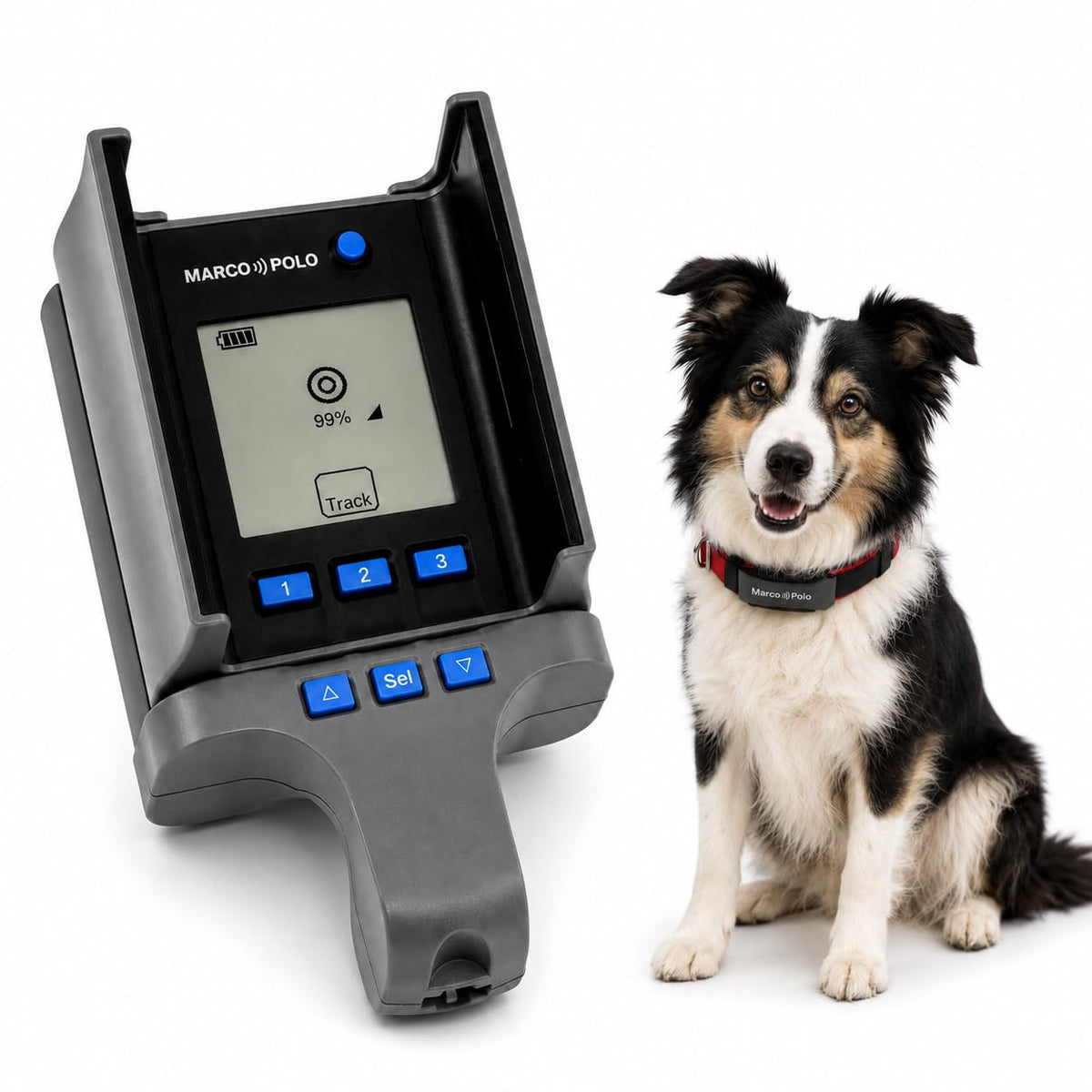 Marco Polo Pet Tracker System for 2 Cats or Dogs - GPS Alternative, No Monthly Fee, Waterproof Long Range RF Finder, Multi-Pet Monitoring Safety Tags