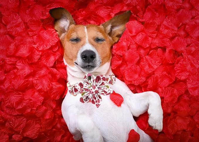 Lionheart Glory Heart Dog Collar, Valentine's Day Dogs Collar with Flower, Cute Floral Pattern Pet Collars Adjustable Dog Collars for Small Dogs