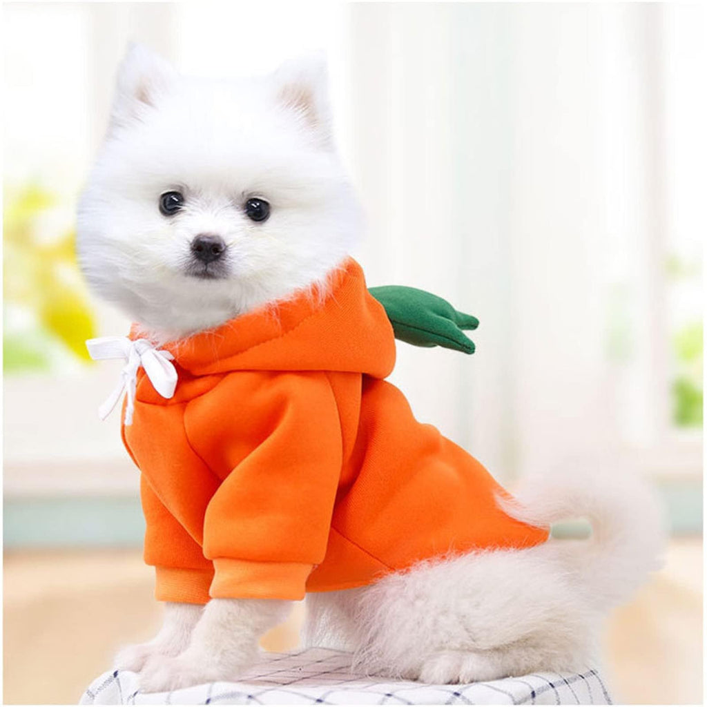 Warm Dog Winter Clothes Cute Fruit Dog Coat Hoodies Fleece Pet Dogs Costume Jacket for French Bulldog Chihuahua Ropa para Perro(Orange,XL)