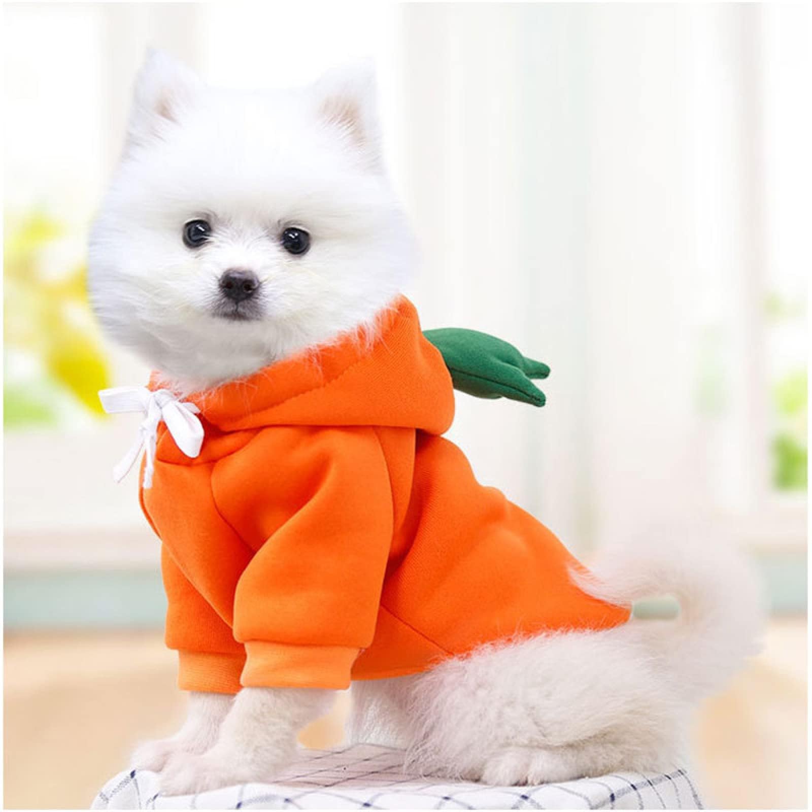 Warm Dog Winter Clothes Cute Fruit Dog Coat Hoodies Fleece Pet Dogs Costume Jacket for French Bulldog Chihuahua Ropa para Perro(Orange,XL)