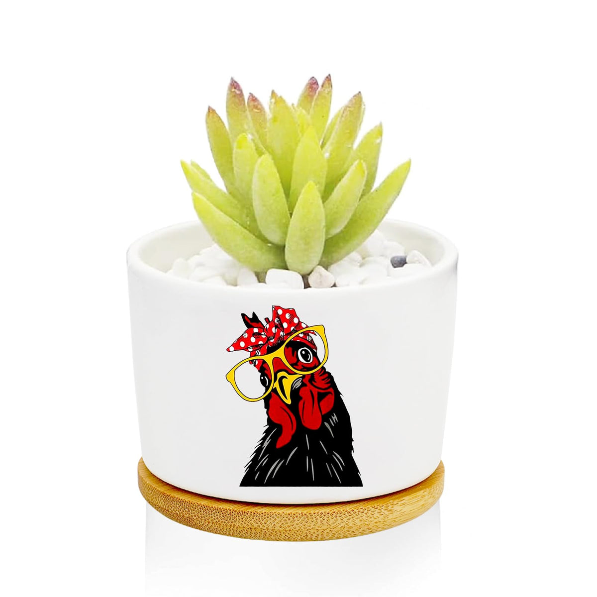 1Pcs Dog Window Garden Planter Pots with Drainage Tray, Ceramic Pot 3 Inch