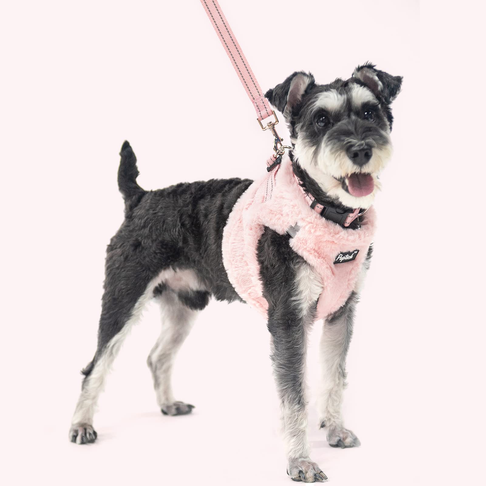 PUPTECK Dog Harness, Collar and Leash Set No Pull for Small Medium Sized