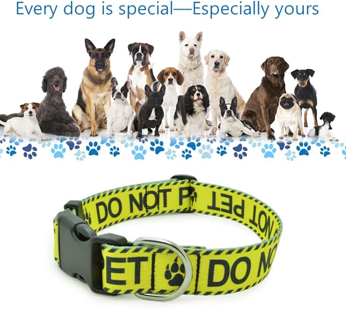DWOOFG Dog Collar for DO NOT PET, Sturdy Durable with Buckle, Yellow Dog Collars for Small Medium Large Dogs, Premium Adjustable Polyester Pet Collar