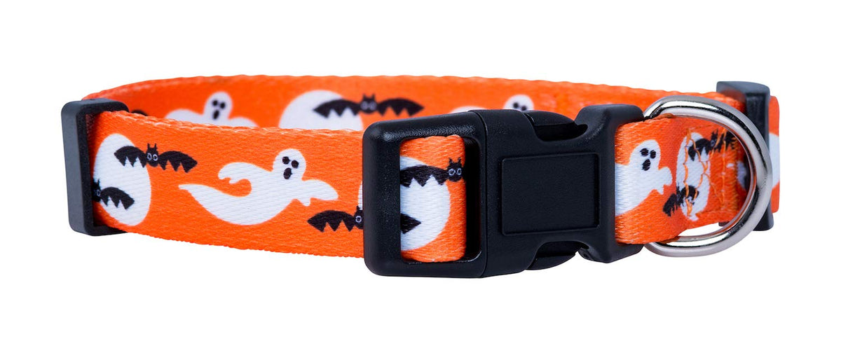 Native Pup Halloween Dog Collar (Small, Bats)