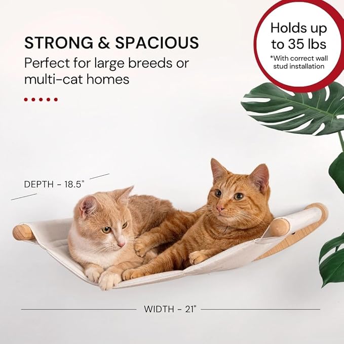 7 Ruby Road Cat Wall Shelves for Large Cats - Hammock and Steps Set