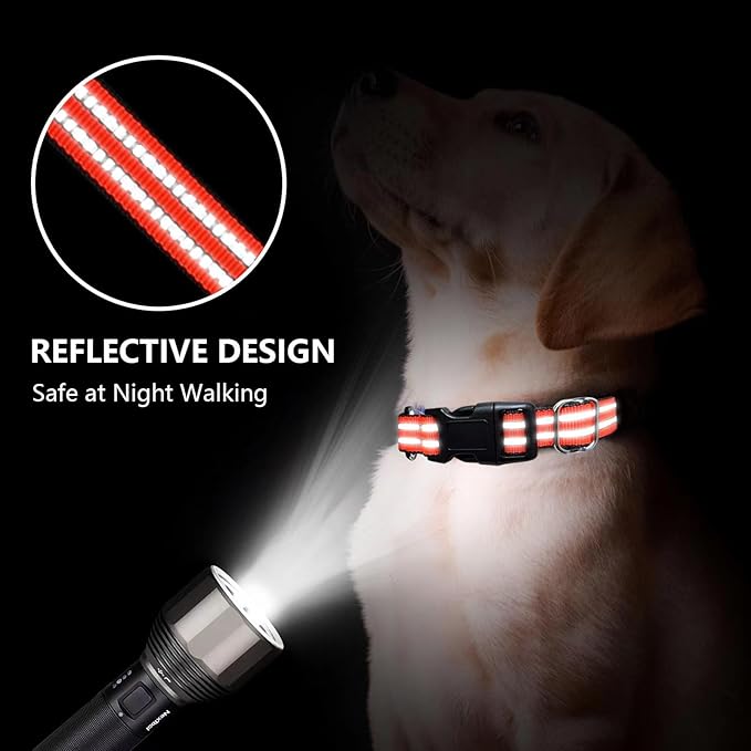 JOYEEIIOO Martingale Dog Collar, Adjustable Nylon Reflective Collar with Quick Release Buckle, No Pull Dog Training Collars for Small Medium Large Dogs (Bright Orange, Large)