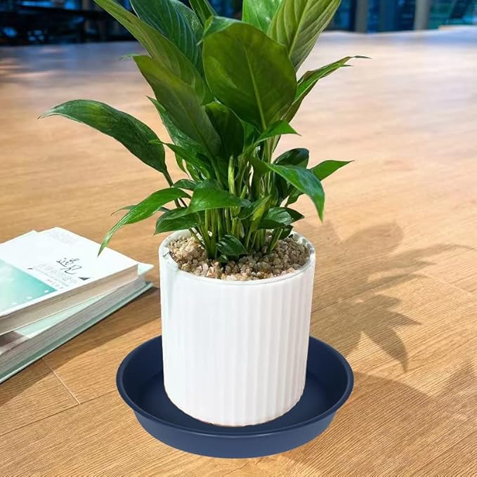6 Pack of 12 inch Plant Saucer, Heavy Duty Plastic Plant Saucer 12" Round, Durable Plant Tray for Pots, Plant Saucers for Indoors, Plant Trays for Planter (12", Blue)