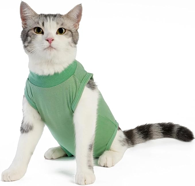 kzrfojy Cat Recovery Suit Cat Onesie for Cats After Surgery Female Male Spay Kitten Neuter Surgical Bodysuit Post Surgery Cone of Shame Alternative Anti Licking (Green, Small)