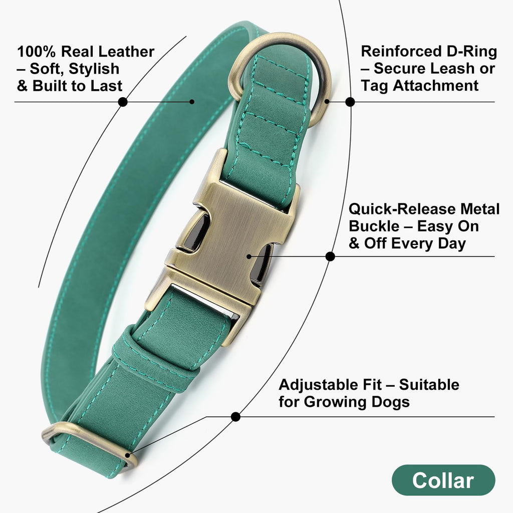 Plutus Pet Genuine Leather Dog Collar, Adjustable and Skin-Friendly