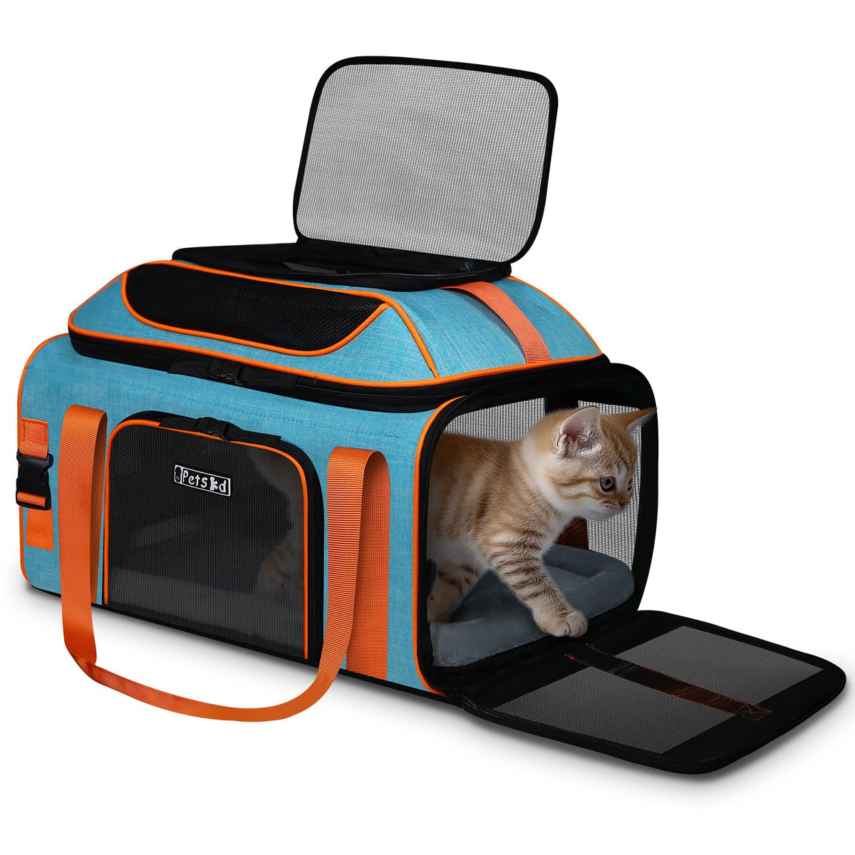 Petskd Top-Expandable Pet Carrier 19"x13"x9" Airline Approved, Blue