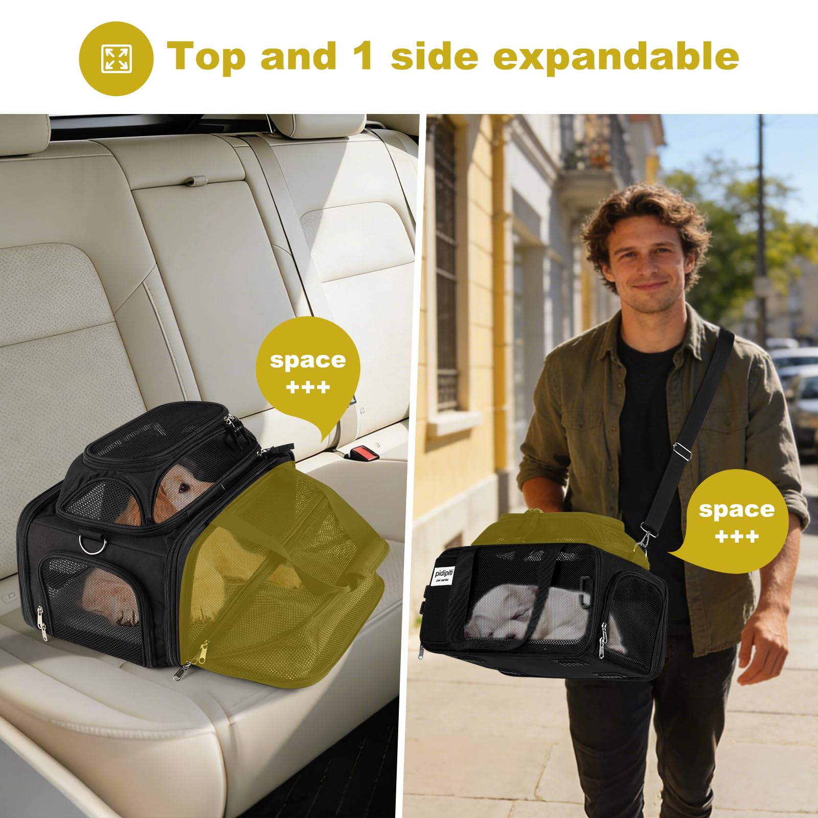 pidipiti 17x11x9.5 Soft-Sided pet Carrier,for Extra-Small Dog or Medium cat