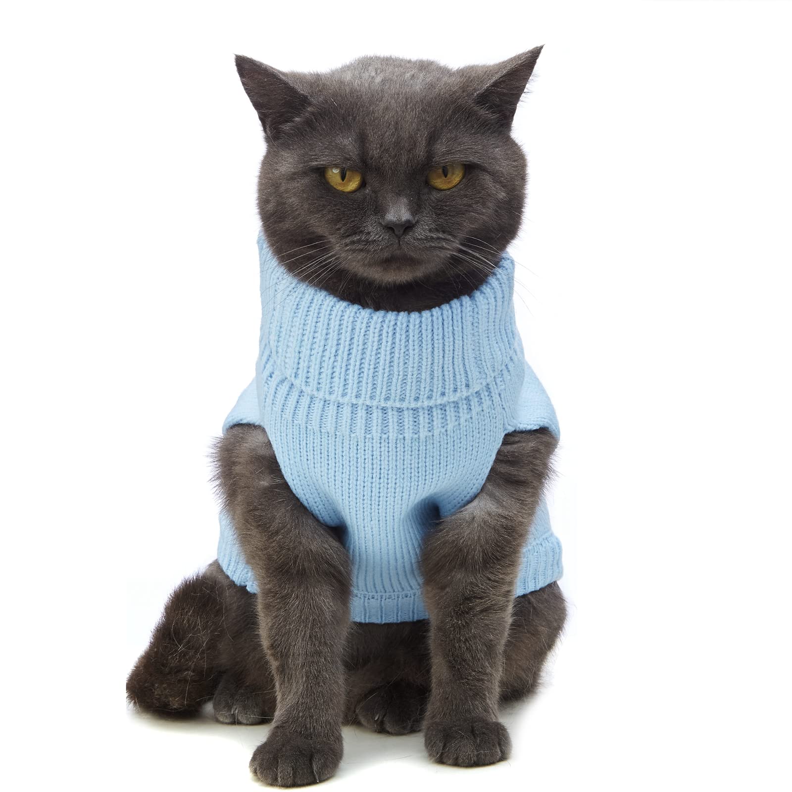 Jnancun Cat Sweater Stretchy,19 Colors,6 Sizes,Snug Winter (Blue, X-Small, Vest)