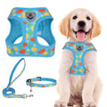 PUPTECK Dog Harness, Collar and Leash Set No Pull for Small Medium Sized