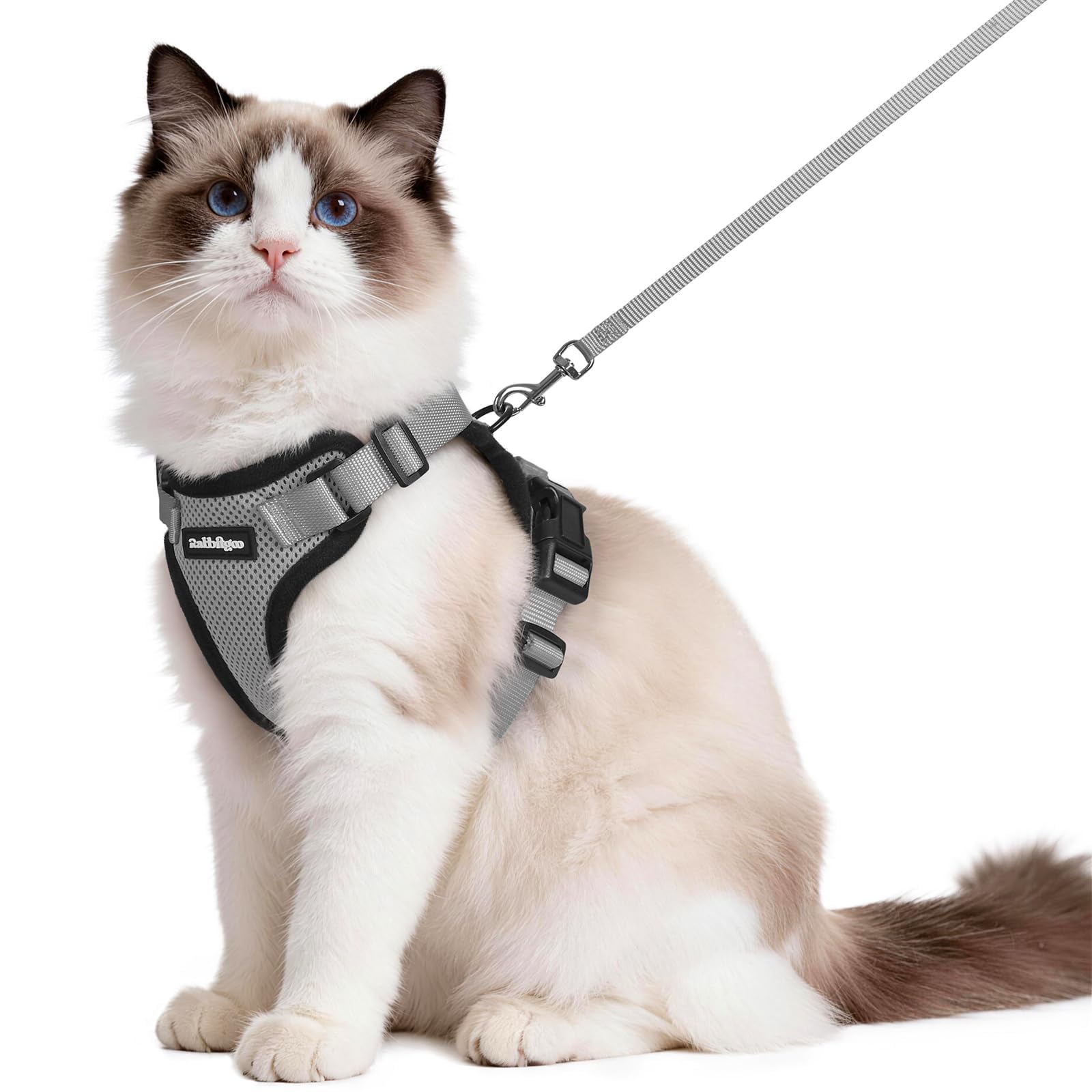 rabbitgoo Cat Harness and Leash Set, Escape Proof Vest, Emerald