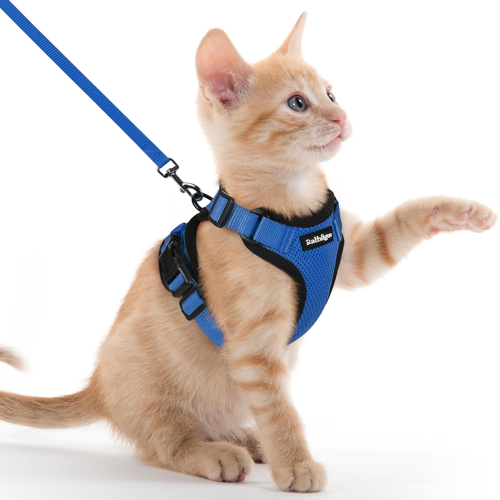 rabbitgoo Cat Harness and Leash Set, Escape Proof Vest, Emerald