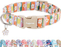 Faygarsle Colorful Floral Dog Collar, Cotton Fabric with Daisy Pattern, Multi-Color Stripes Spring Summer Design for Small Medium Large Dogs, XS
