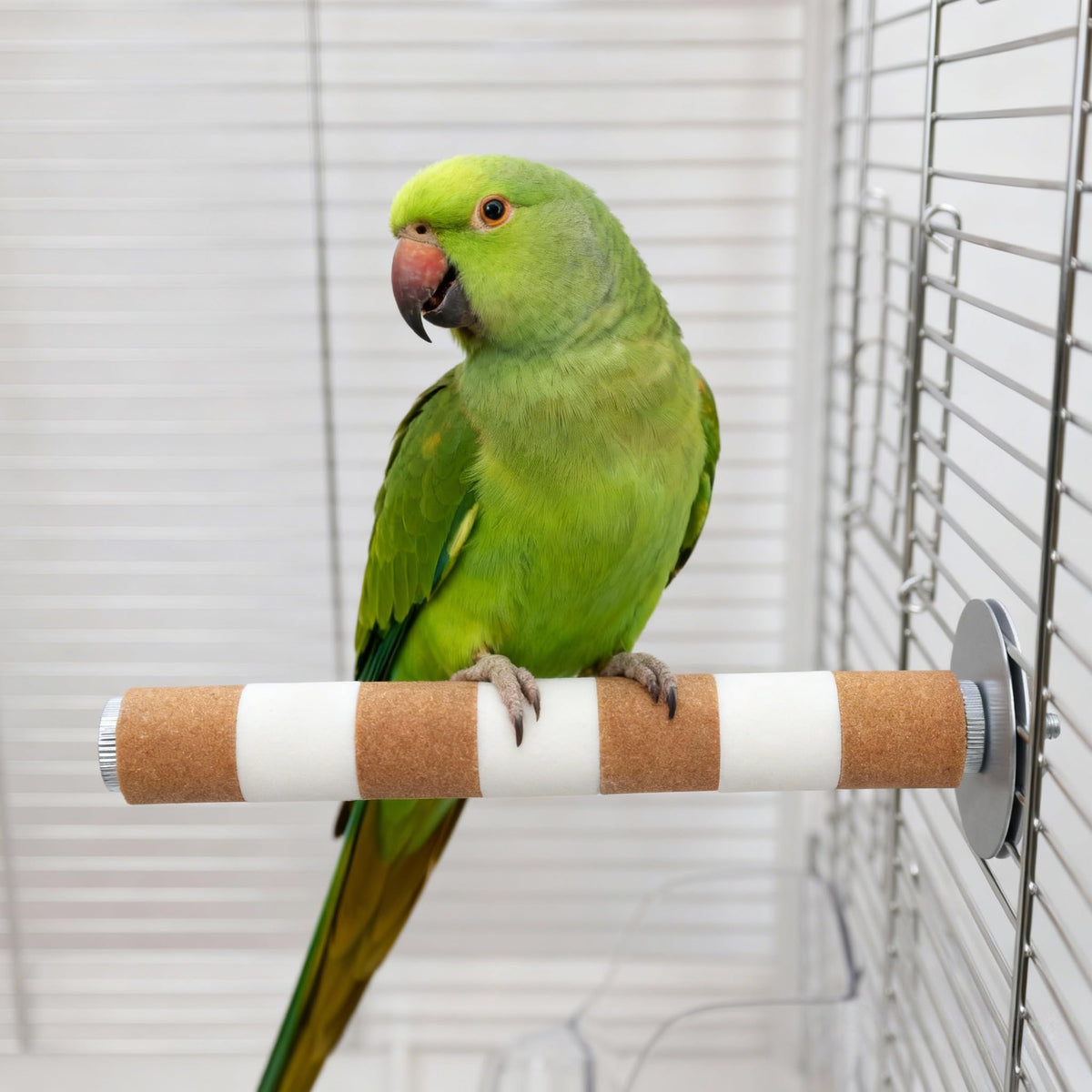Bird Perch for Cage, Parrot Perch 7.9” x 1” Bird Beak Grinding Stone – Durable Beak & Claw Trimming Accessory for Conure, Cockatiel & Parrot, Non-Toxic Birds Cage Accessory