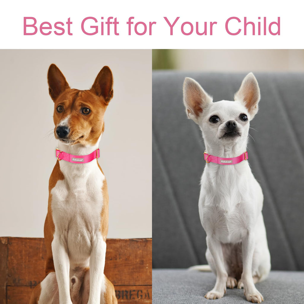 Babole Pet Nylon Dog Collar - Adjustable Rose Red Soft Webbing Dog Collars for Small Medium Large Dogs Boy Girl Puppy Collar with Safety Metal Buckle S