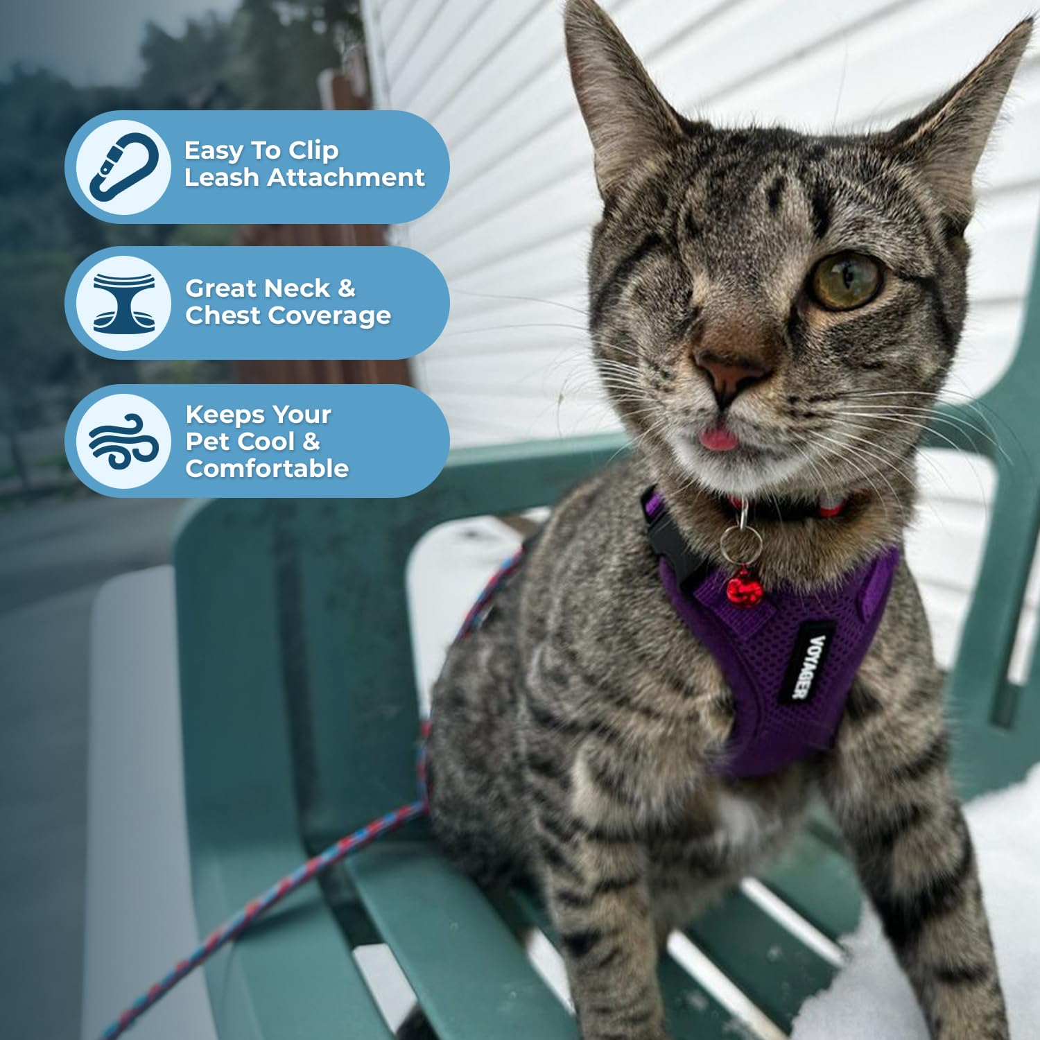 Voyager Escape-Proof Step-in Lock Cat Harness & 5ft Neoprene-Handle Leash Set All-Weather Mesh with Reflective Stitching for Small to Large Cats by Best Pet Supplies, Purple, XS