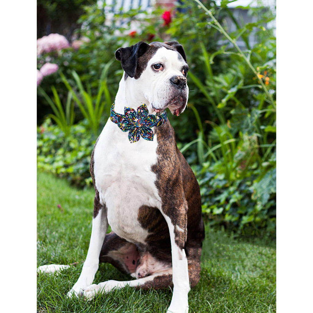 Lionheart Glory Floral Dog Bow Collar - Dark Blue, Adjustable, Durable for Small Dogs