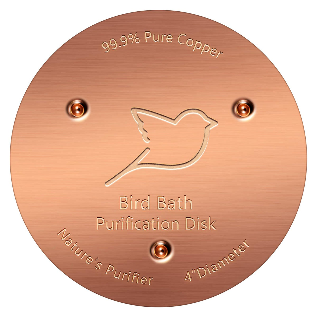 NNG 3 Pack Bird Bath Copper Disk, 99.9% Pure Copper Purification Disk