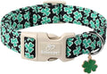 Babole Pet St Patricks Day Dog Collar for Large Dogs - Green Lucky Shamrock Boy Dog Collars, Irish Clover Pattern Black Male Puppy Collar with Quick Release Buckle L