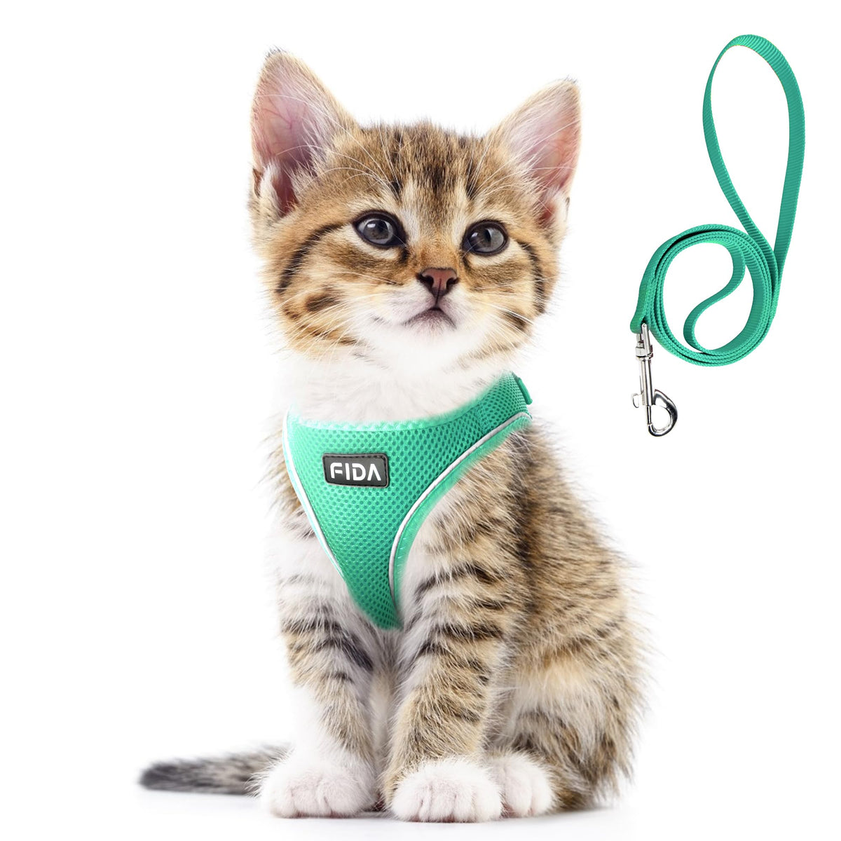 Fida Comfy Dog Harness with Leash, Soft Puppy Vest Escape Proof, Breathable Lightweight Soft Mesh, Adjustable Reflective Step-in Harness for Extra-Small Dogs (XS, Pink)